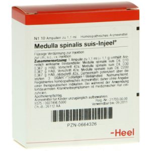 Medulla spinalis suis-Injeel® Ampullen