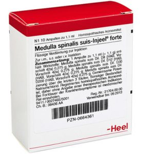 Medulla spinalis suis-Injeel® forte