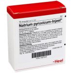 Natrium pyruvicum-Injeel® Ampullen