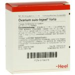 Ovarium suis-Injeel® forte Ampullen