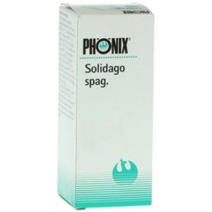 Phönix Solidago spag.