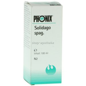 Phönix Solidago spag.