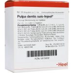 Pulpa dentis suis-Injeel® Ampullen