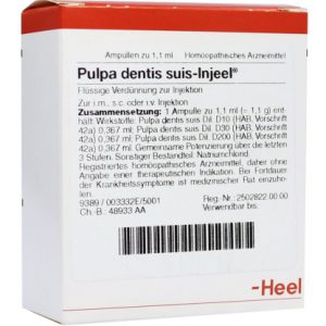 Pulpa dentis suis-Injeel® Ampullen