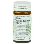 Rhus toxicodendron Phcp®