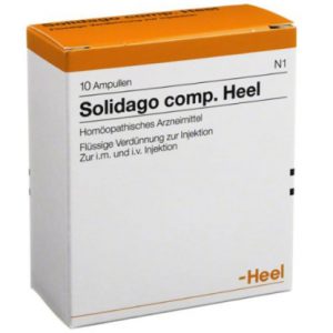 Solidago compositum Heel Ampullen