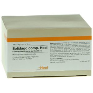 Solidago compositum Heel Ampullen