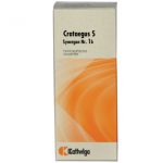 Synergon Komplex 1b Crataegus S Tropfen