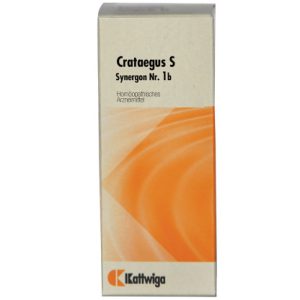Synergon Komplex 1b Crataegus S Tropfen