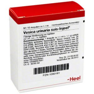 Vesica urinaria suis-Injeel® Ampullen