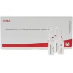 WALA® APIS/ARNICA Amp.