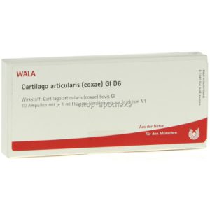 WALA® Cartilago articularis coxae Gl D 6