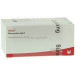 WALA® Meteoreisen Inject Amp.
