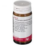 WALA® Taraxacum e planta tota D 30