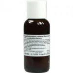 WELEDA Equisetum Arvense ethanol.Decoctum 10%