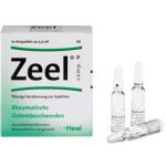 Zeel® comp. N
