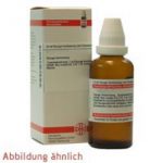 Zincum Valerianicum D 10 Dilution
