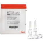 Zitronensäurezyklus-Heel® Ampullen