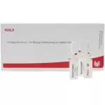 WALA® Hirnstamm Gl D 6