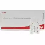 WALA® Mesenchym Gl D 8 Amp.